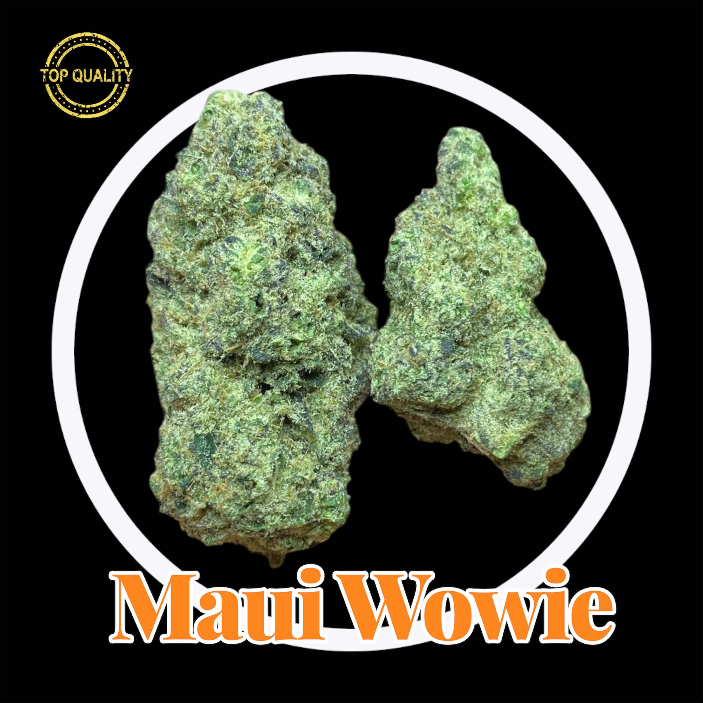 29-11-25 11-07-05pm.jpg